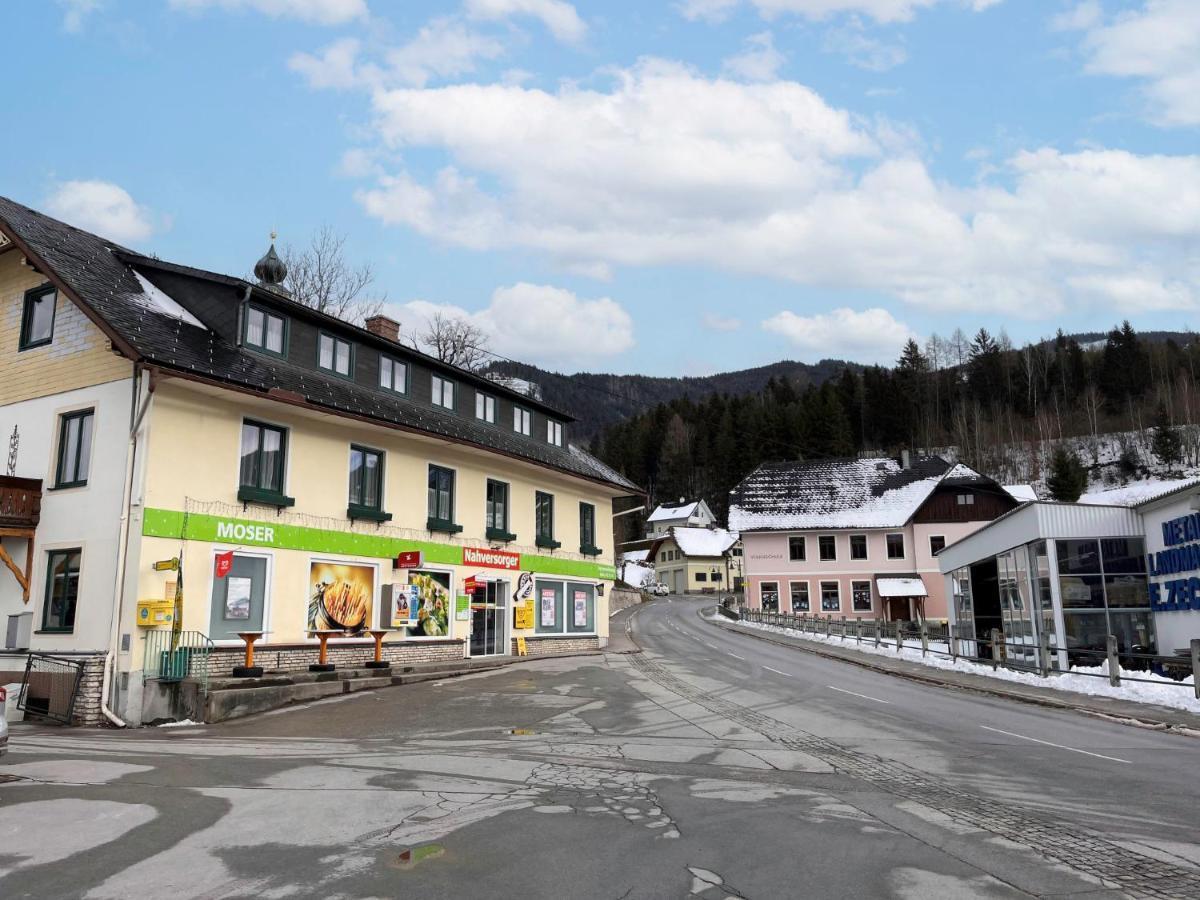 Moser By Interhome Stein an der Enns